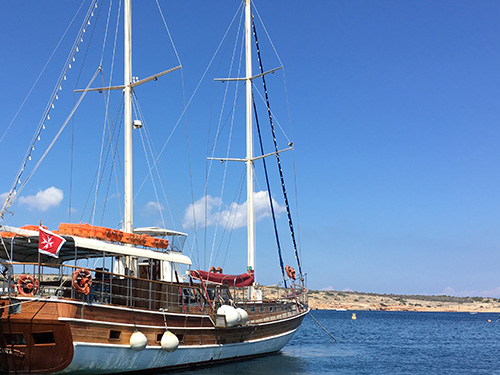 Private day charter on a masted tour boat (for large groups)