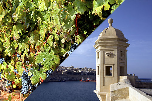 Kombination Wein Tour mit Besichtigung der Drei Städte