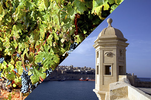 Wine Tasting & Three Cities Tour