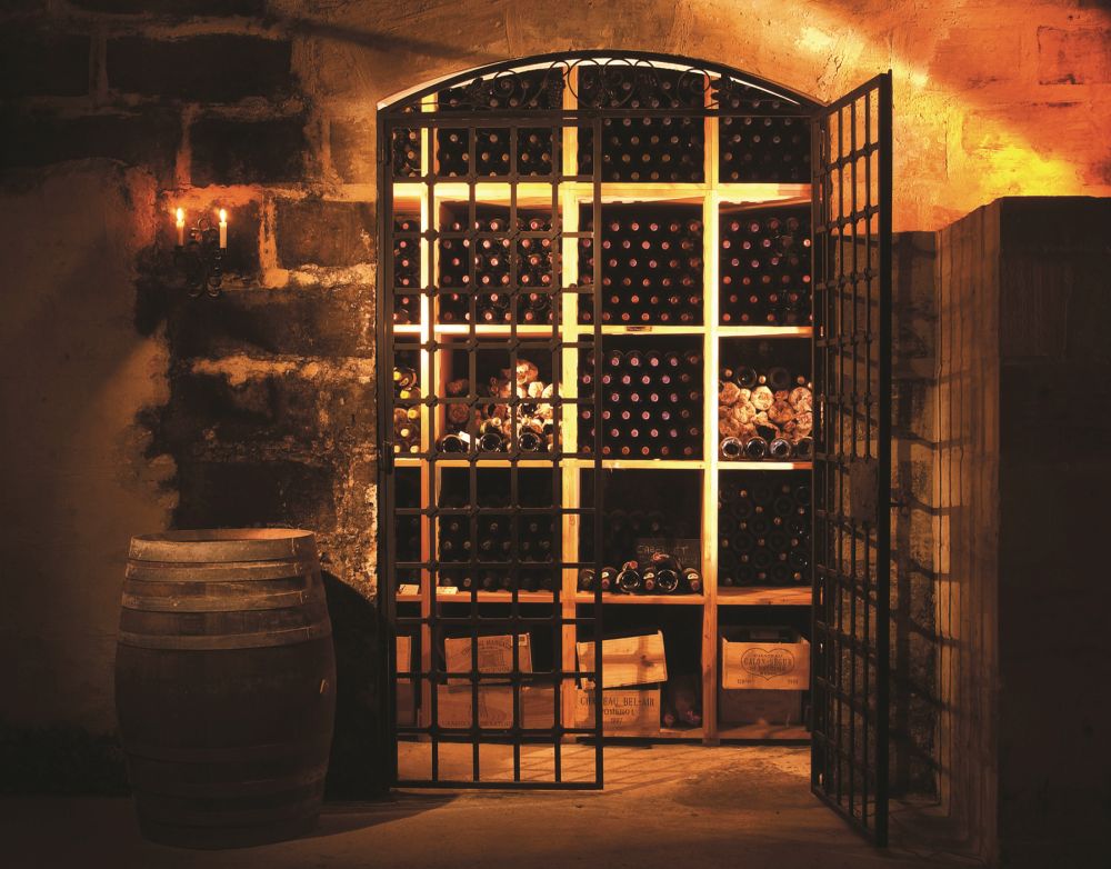 Wine cellar, wine bar and professional wine tasting