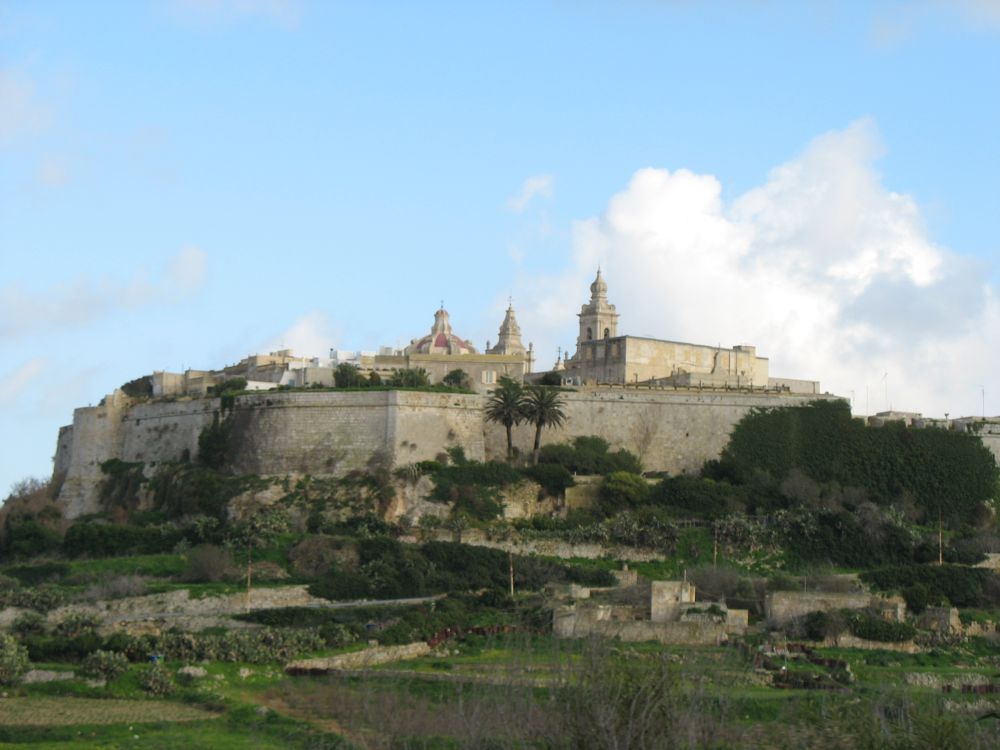 MALTA IN ONE DAY (starting from Sicily)