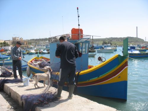 LA GROTTE BLEUE ET MARSAXLOKK - Demi-journée prolongée (le matin)