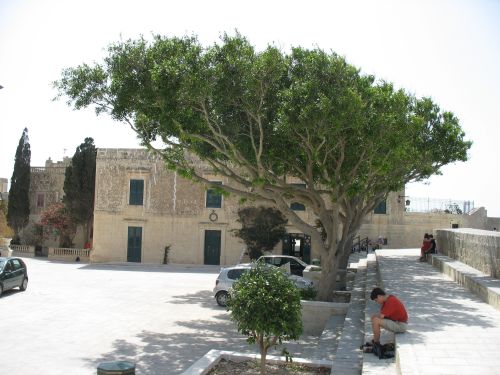 Il meglio di Mdina & Malta - giornata intera