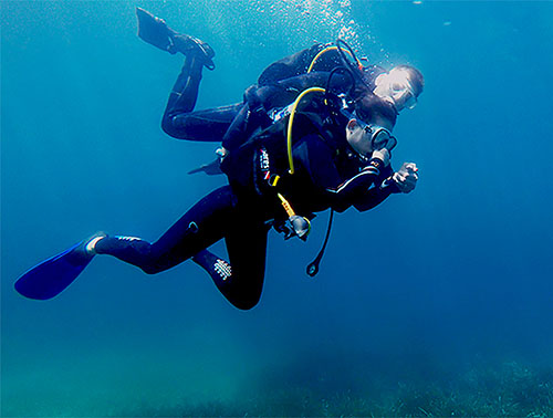Diving for Beginners